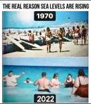 1658344555738.png
