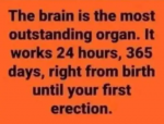 1658848991243.png