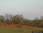 A5CBAEA8-E96A-45CD-A410-F7E6B0BDFDB8.gif