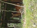 IMG_20220727_103128140.jpg