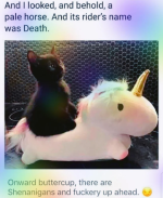 1659715137558.png