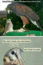 1659958273415.png