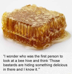 1659958487602.png