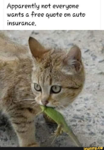 1659958579865.png