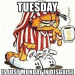 1660039206399.png
