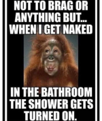 1660494942674.png