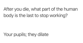 1660840517949.png
