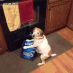 A gip.gif