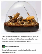 1661648384086.png