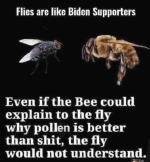 1662862902448.png