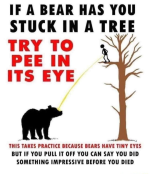 Screenshot_20220911-222656~2.png