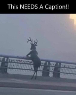 1663331882294.png