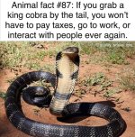 1663845169225.jpeg