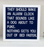 1664104025401.png