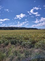 IMG_20220930_111923881_HDR.jpg
