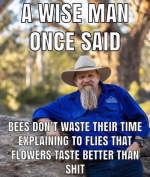1664730513139.png