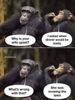 1664838328254.png
