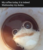 1666194392672.png