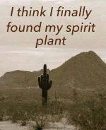 1666332976040.png