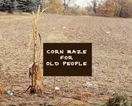 1666370790969.png