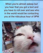 Screenshot_20221022-062316~2.png