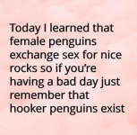 1666488565927.png