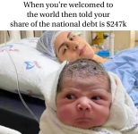 1666989795915.png