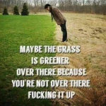 1667007376172.png
