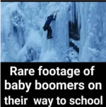Screenshot_20221029-060538~2.png
