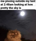 Screenshot_20221028-191355~2.png