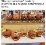 4A88C20D-AB6F-448D-85E7-E908FFF70BB3.jpeg