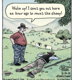 Screenshot_20221102-124214~2.png