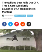 Screenshot_20221102-182533~2.png