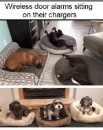1668509546729.png