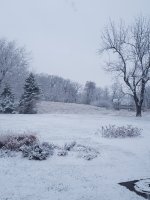 20221115_064351.jpg