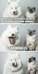 FB_IMG_1669269991003.jpg