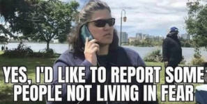 1669497604103.png