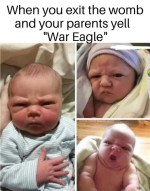 1669589370312.png