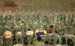 1669860190340.gif