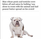 Screenshot_20221202-044732~2.png