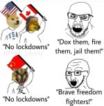 9tw2davdej3a1.jpg