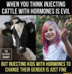 1670363373211.png