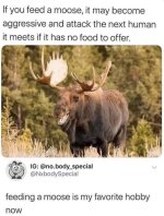 28F9CB4D-4A24-41A4-8FF5-1AD14B53CA4A.jpeg