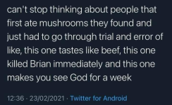 Screenshot_20221211-173029~2.png
