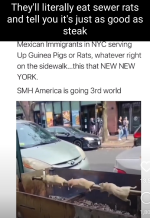 Screenshot_20221211-100559~2.png