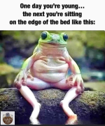 1671127288296.png