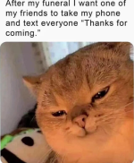 Screenshot_20221218-173757~2.png