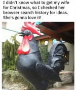 Screenshot_20221219-055156~2.png