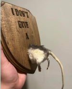 1674014576816.png