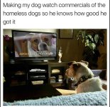 FB_IMG_1676095727141.jpg